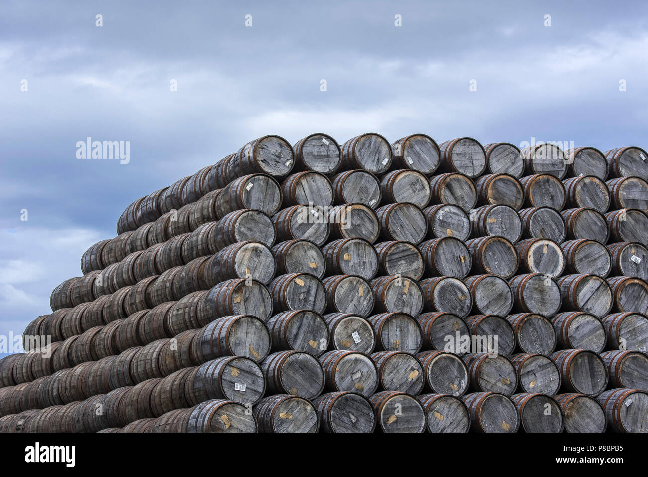 Grandi pile di scartato botti di whisky / barrels at Speyside Cooperage, Craigellachie, Aberlour, Banffshire, Grampian, Scotland, Regno Unito Foto Stock