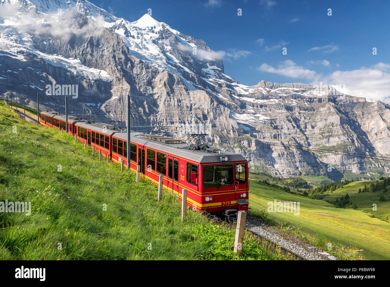 Treno dalla stazione ferrovia della Jungfrau vicino a Kleine Scheidegg, Oberland bernese, Svizzera Foto Stock