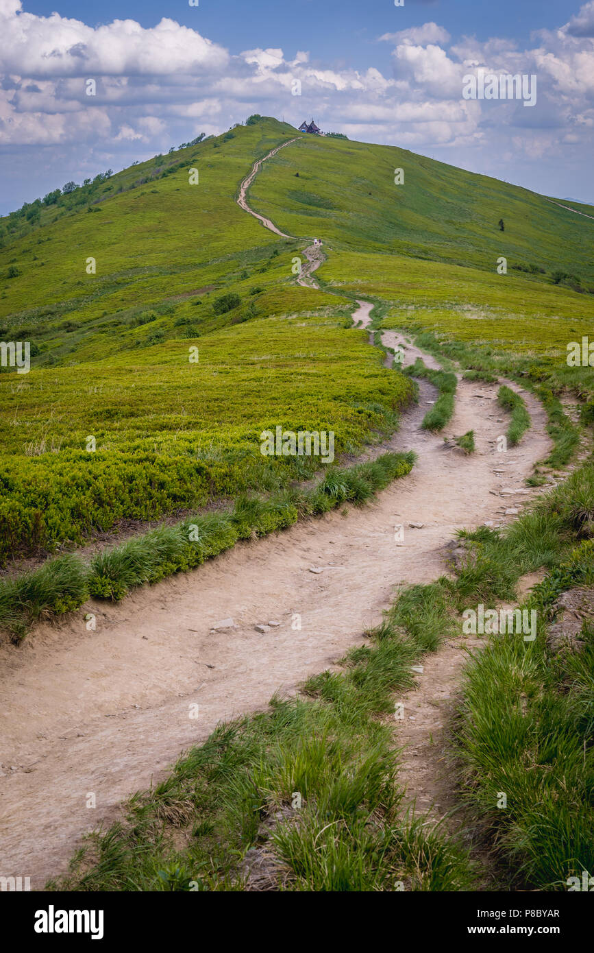 Sentiero per il cosiddetto Winnie the Pooh capanna rifugio su una roccia Hasiakowa montagna, parte dei prati Wetlina in Western monti Bieszczady in Polonia Foto Stock