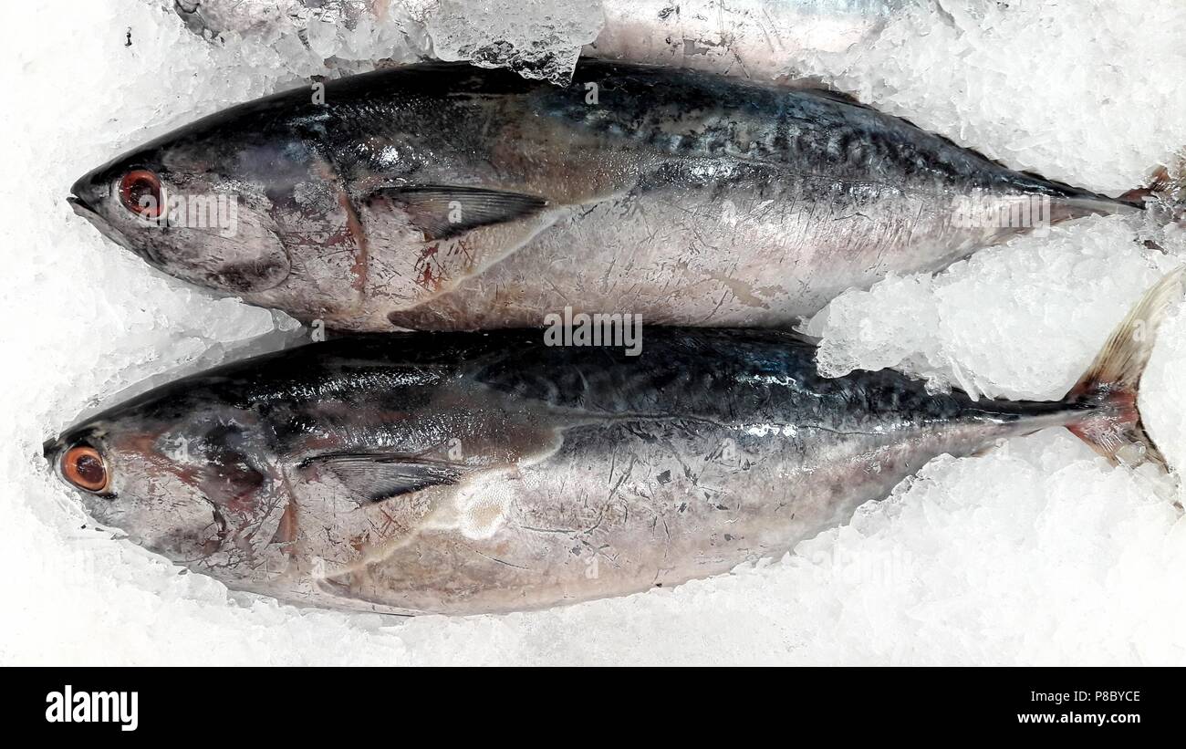 Bella immagine del tonnetto striato (Katsuwonus pelamis) nel mercato tailandese Foto Stock