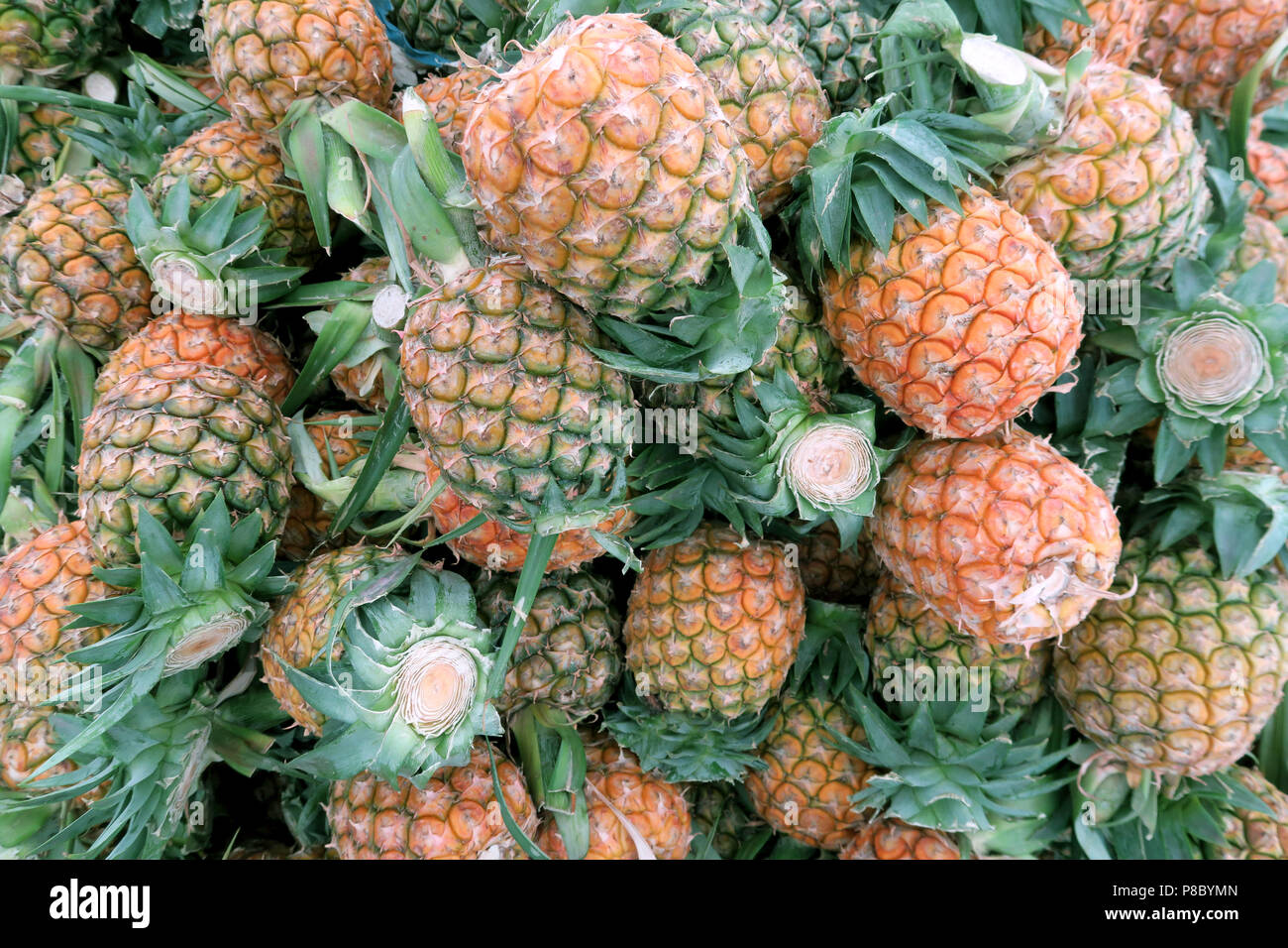 Ananassi da Phetchaburi provincia della Thailandia Foto Stock