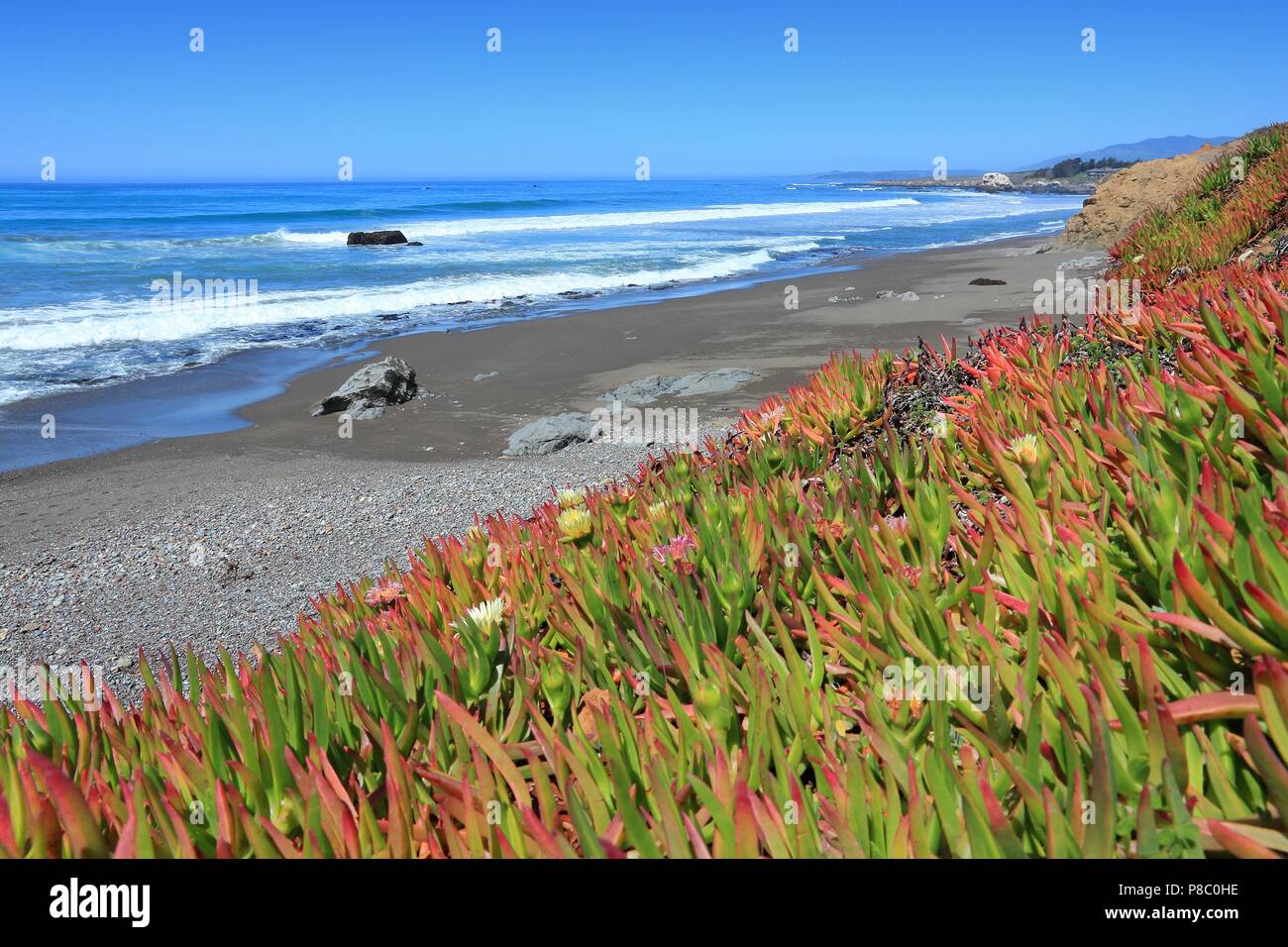 In California, negli Stati Uniti - costa del Pacifico vista. San Luis Obispo county. Foto Stock
