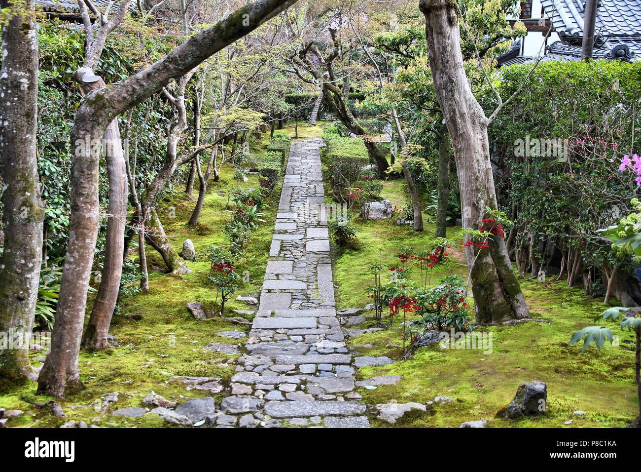 Kyoto, Giappone - il giardino zen di Ryoanji (Ryoan-ji tempio). Il giardino giapponese. Foto Stock