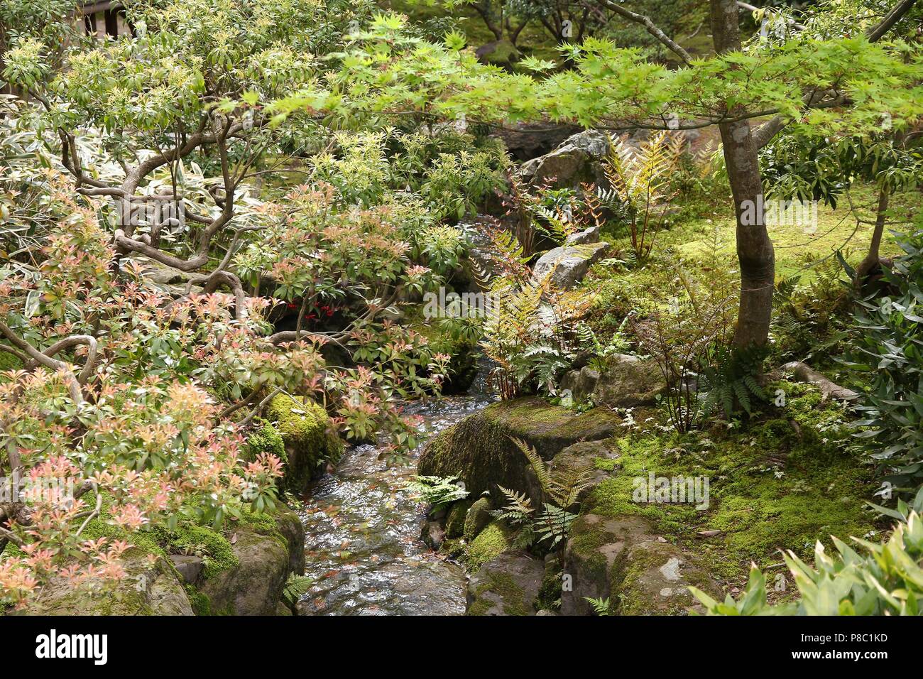 Nara, Giappone - giardino di Isuien. Giardino in stile giapponese. Foto Stock