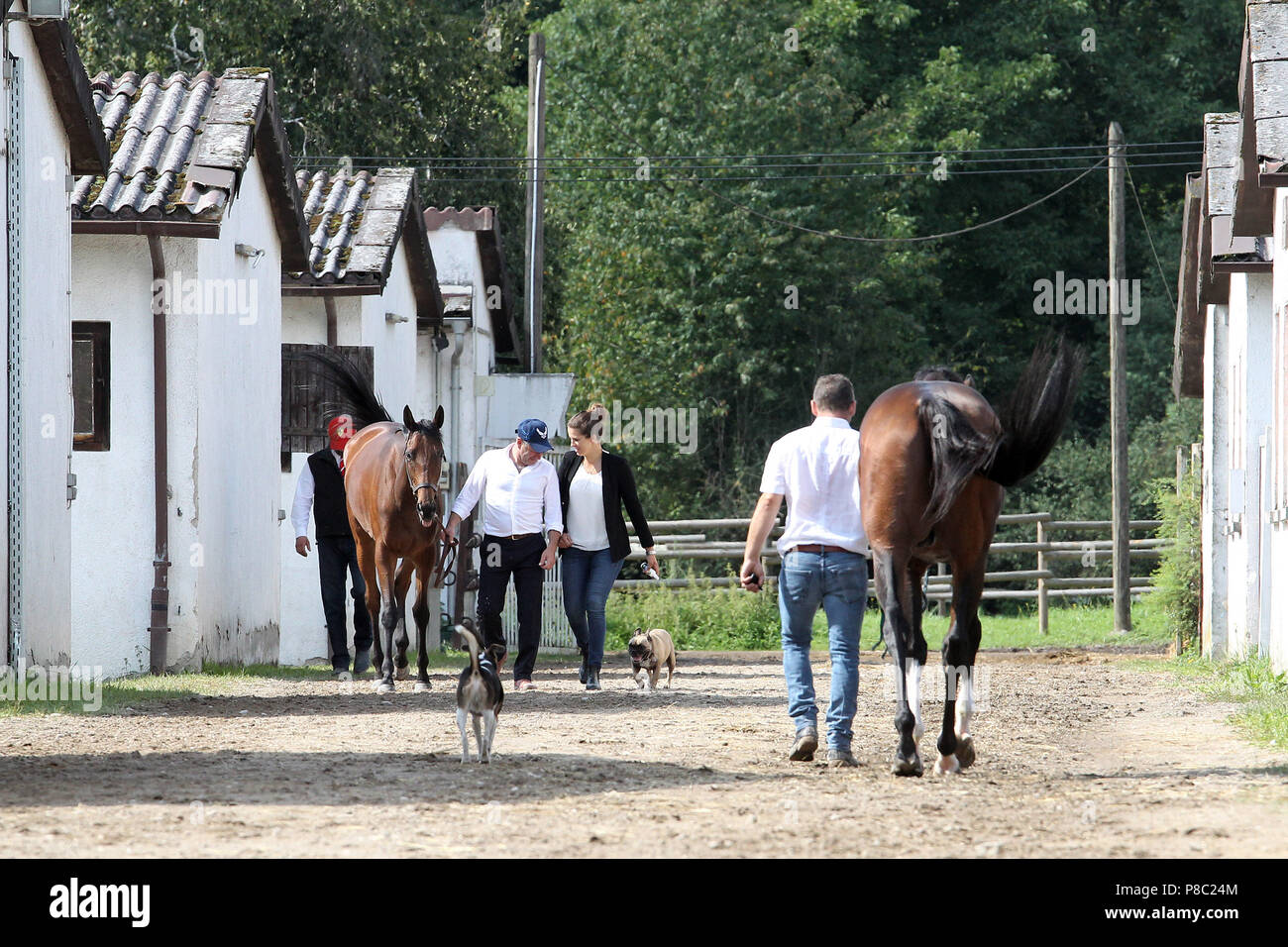 Iffezheim, i cavalli sono portato a secco dopo la gara Foto Stock
