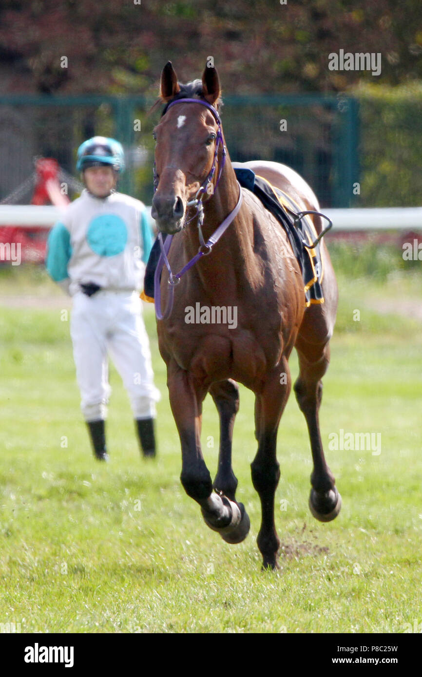 Iffezheim, Jockey Jozef Bojko sta guardando la riderless Charles Darwin Foto Stock