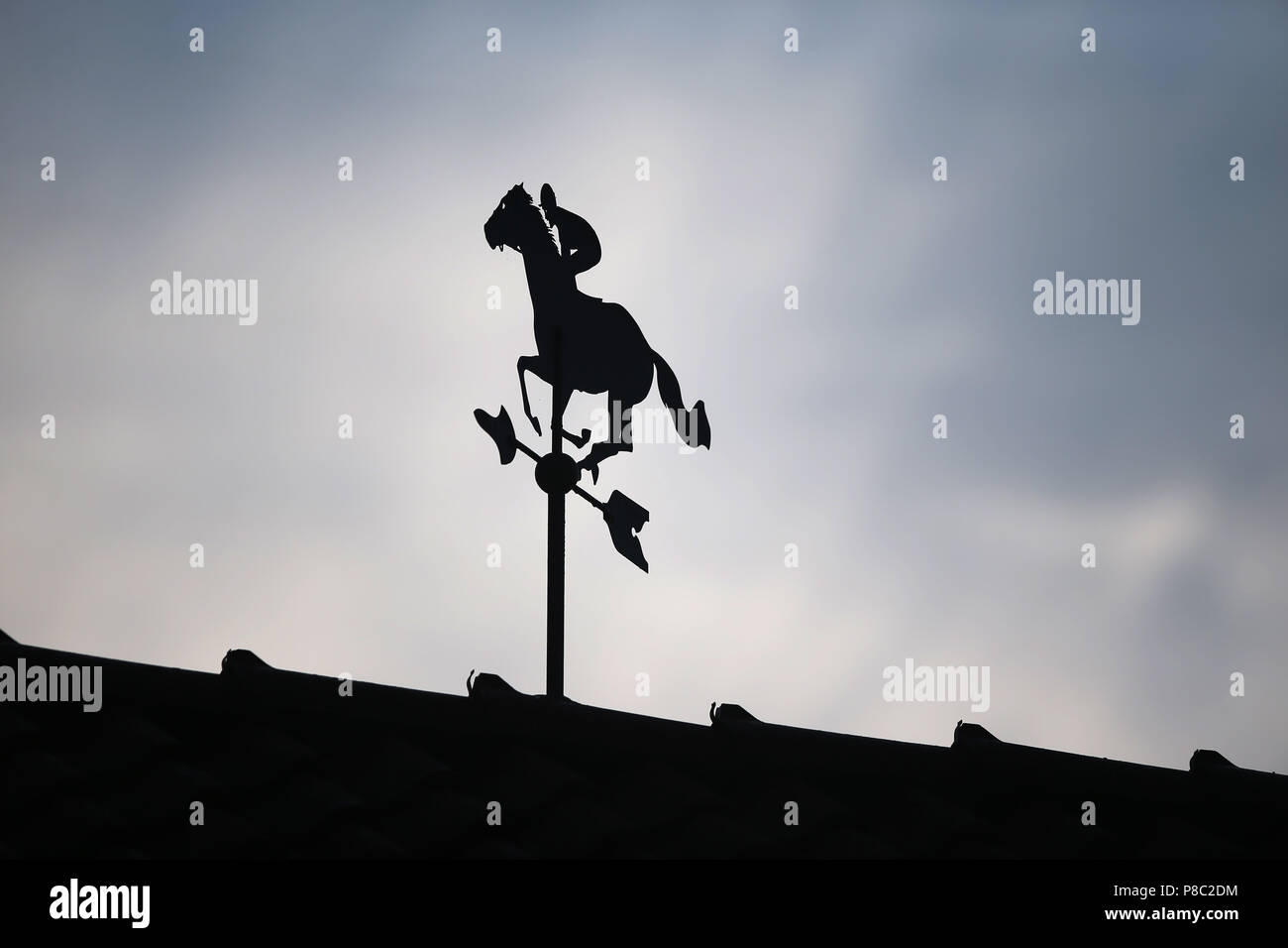 Neuenhagen, Germania, indicatore di direzione del vento su un tetto stabile Foto Stock