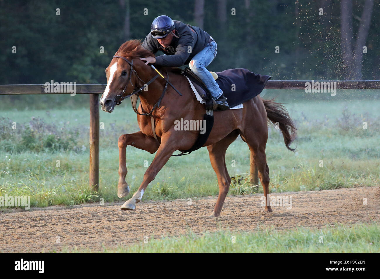 Hoppegarten, Amigo con Jan Korpas al mattino il lavoro Foto Stock