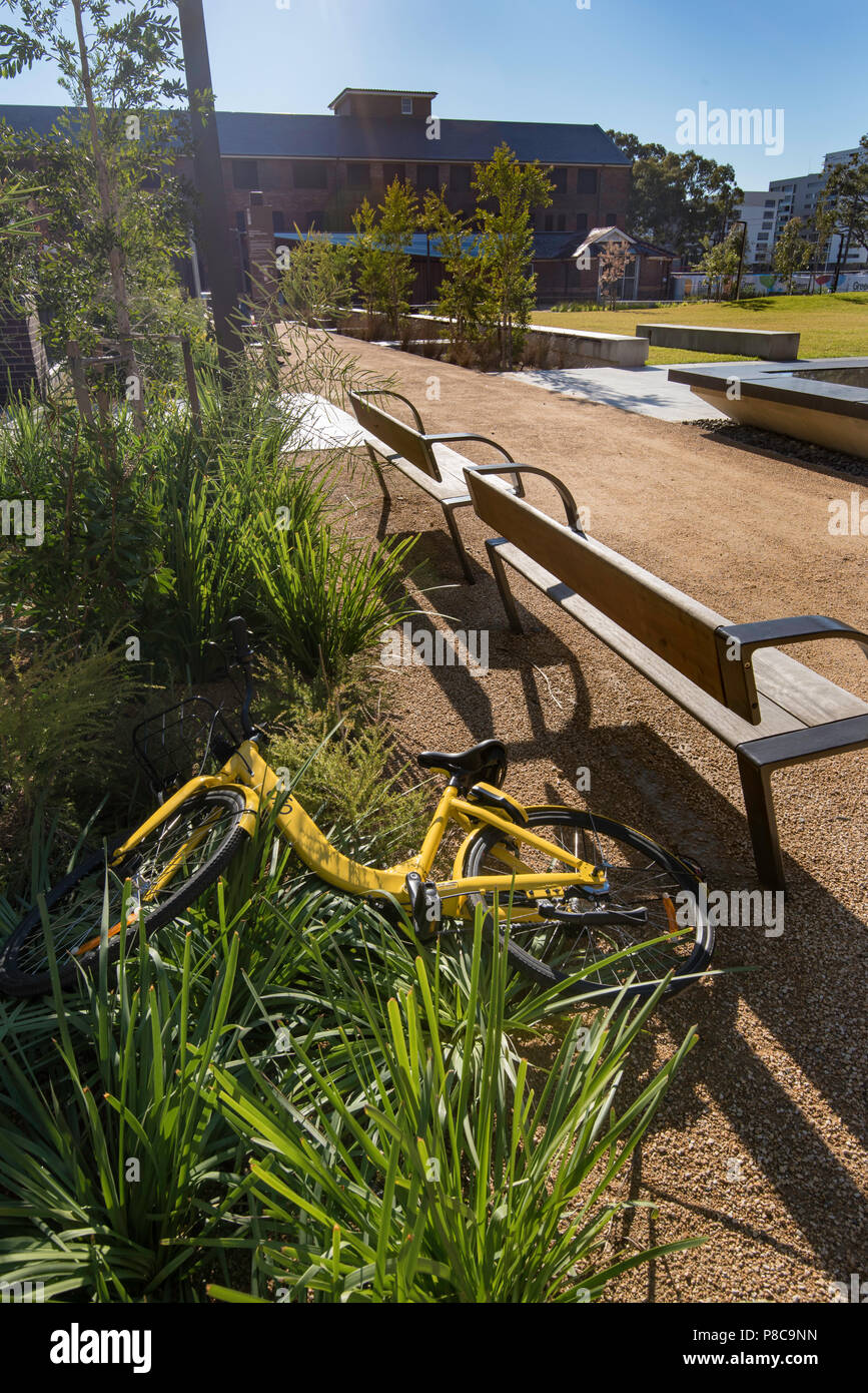 A Sydney il noleggio biciclette oggetto di dumping nel giardino della nuova Joynton Avenue Creative Centre di Alessandria. Foto Stock