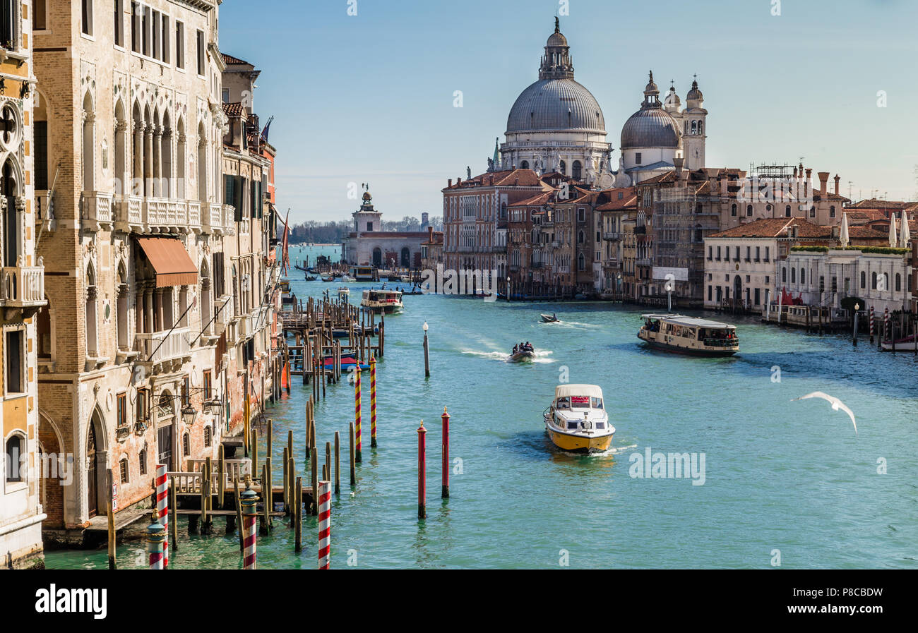 Il Canal Grande e la Basilica di Santa Maria della Salute sulla giornata di sole, Venezia, Italia Foto Stock