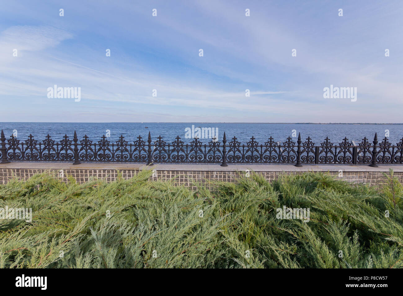 Il paesaggio del mare in un giorno nuvoloso che si allungano per la linea di orizzonte. Con la crescita delle piante verdi in prossimità di una recinzione bassa con una recinzione metallica con sharp tho Foto Stock