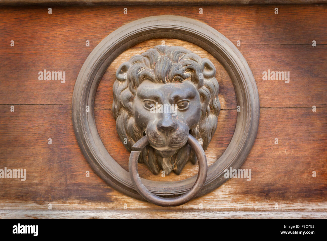 Lion porta faccia respingente, ben weatherd patina Foto Stock