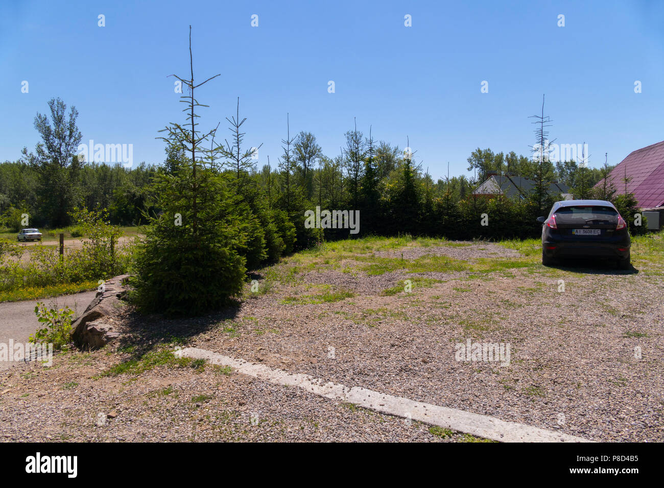 Macchina parcheggiata in una ben attrezzata Parcheggio piantate con alberi di abete rosso vicino al centro di ricreazione nella foresta . Per il vostro design Foto Stock