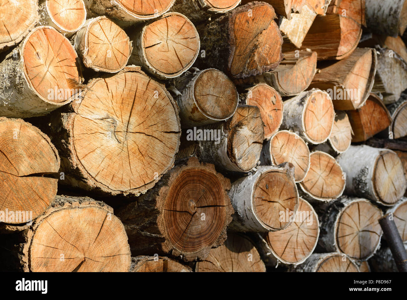 Primo piano alla catasta di legna da ardere Foto Stock
