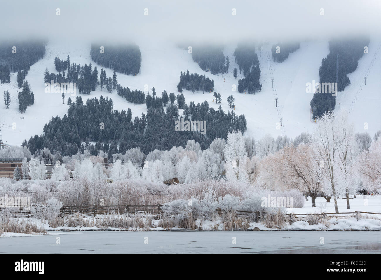 La città di Jackson coperto di brina trasformata per forte gradiente, in appoggio sotto la neve montagna re. National Elk Refuge, Wyoming Foto Stock
