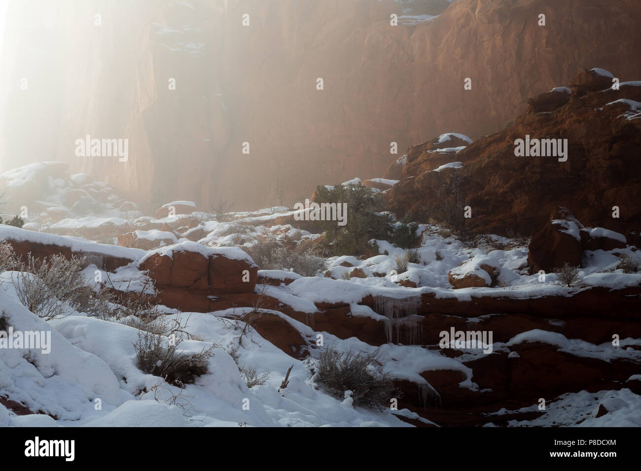 La luce del sole comincia a rompere attraverso una fitta nebbia sulla Park Avenue Trail. Parco Nazionale di Arches, Utah Foto Stock