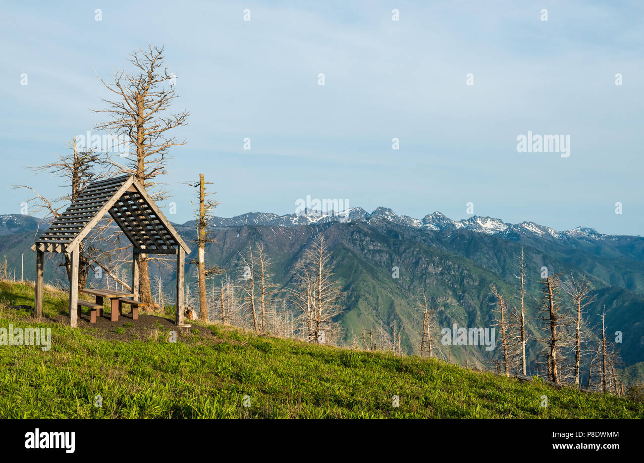 La vista dell'Idaho sette demoni montagne dall'area picnic di Hat punto si affacciano, nell'Hells Canyon National Recreation Area, nordest Oregon. Foto Stock