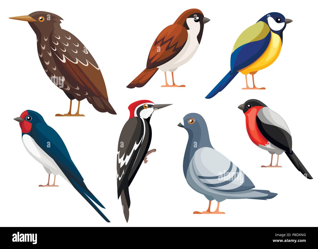 Coloratissima collezione di uccelli. Pigeon, Sparrow, cincia, Swallow, picchio Starling, Bullfinch. Piatto icona degli uccelli. Illustrazione di vettore isolato su bianco Illustrazione Vettoriale