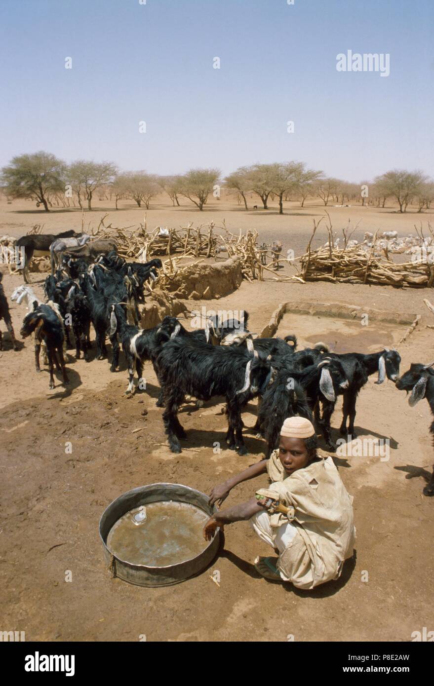 Sudan settentrionale, nomadi in corrispondenza di un pozzetto nel deserto libico Foto Stock