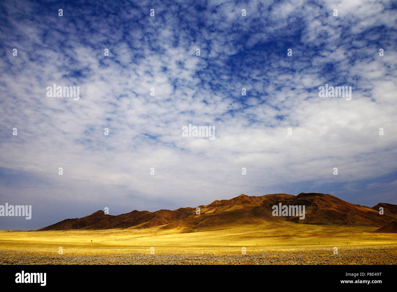 Paesaggio di dune, Tok Tokkie Trail, Namib Rand Riserva Naturale, Namib Naukluft Park, Namibia Foto Stock