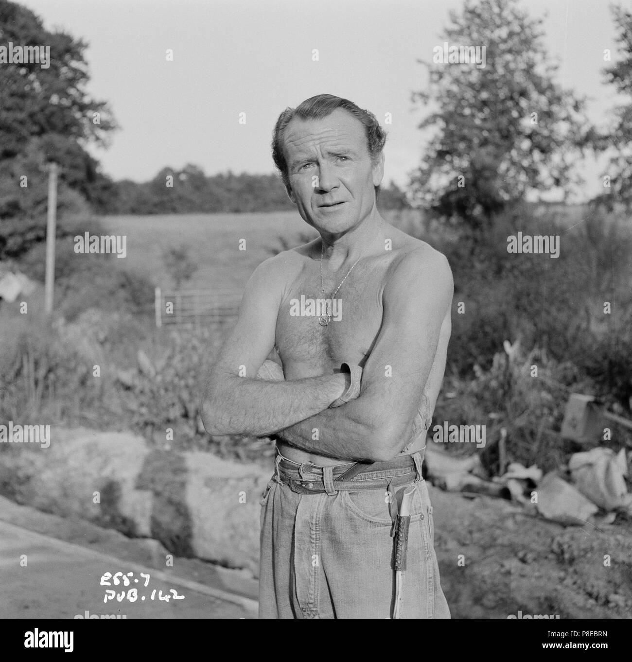 È bello essere giovani (1956) John Mills, Data: 1956 Foto Stock