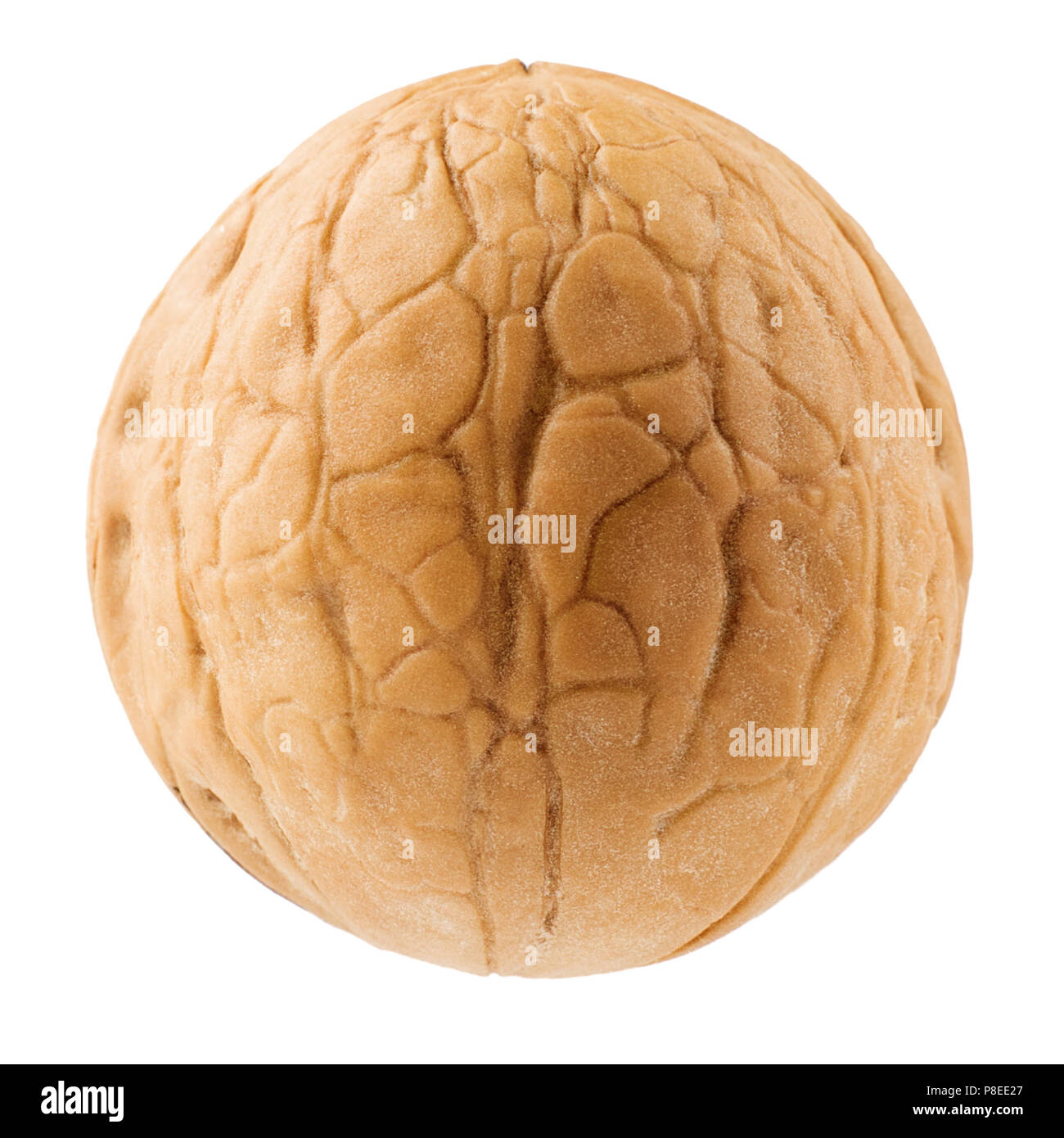 Noce closeup su sfondo bianco, isolato Foto Stock