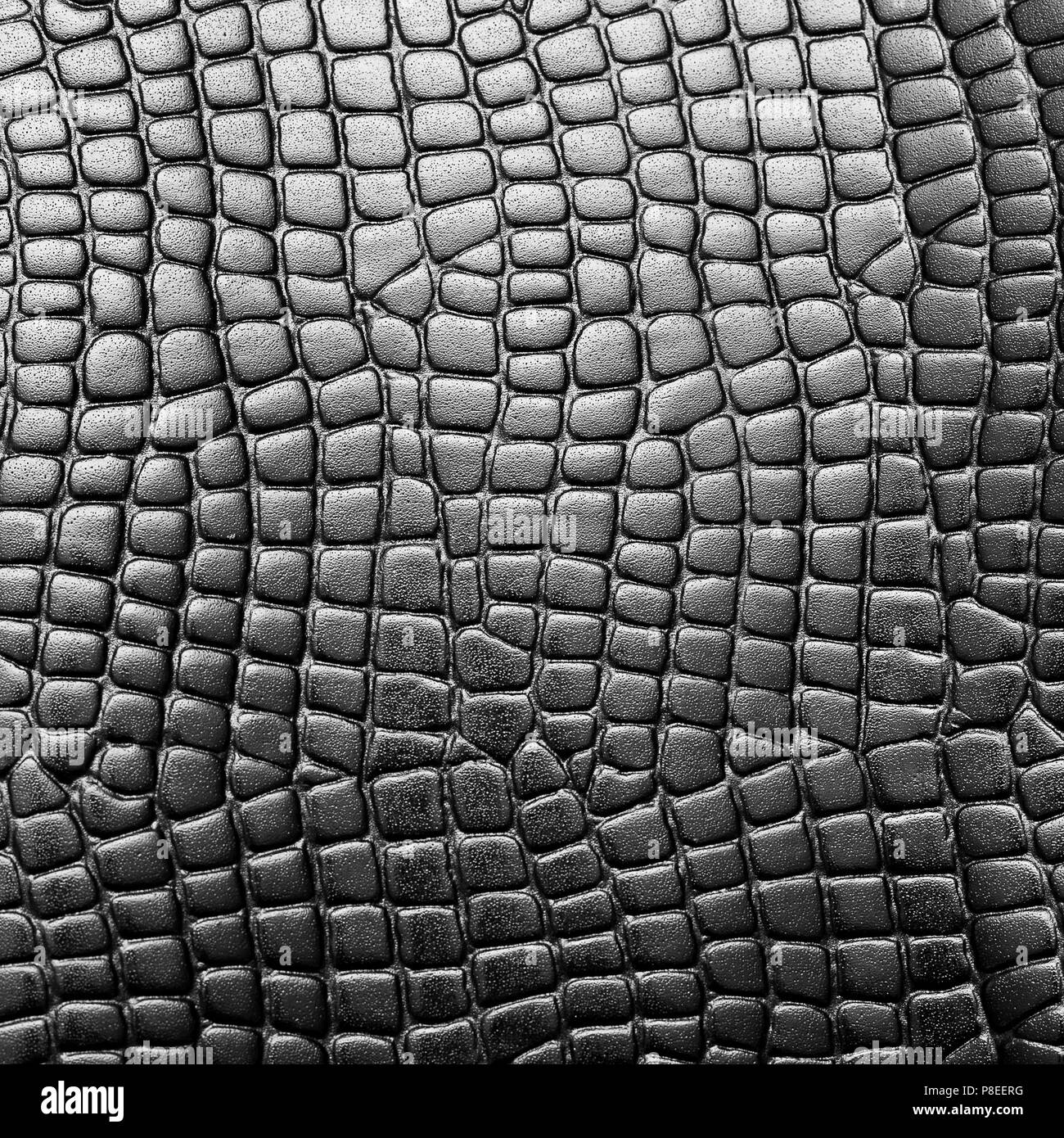 Black Pelle di coccodrillo, lucido, sfondo Foto Stock