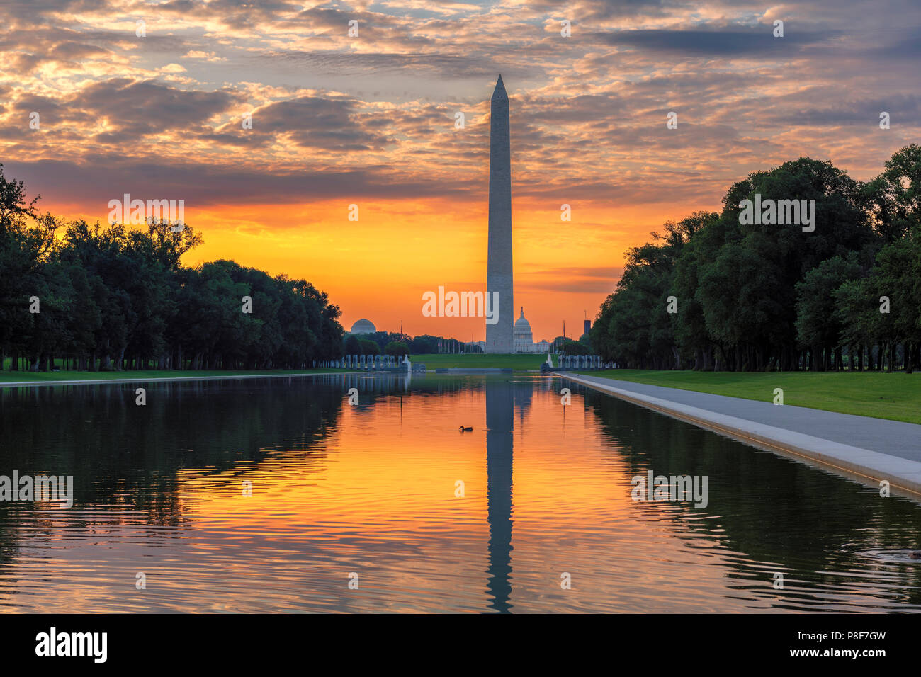 Il Monumento a Washington a sunrise in Washington DC Foto Stock