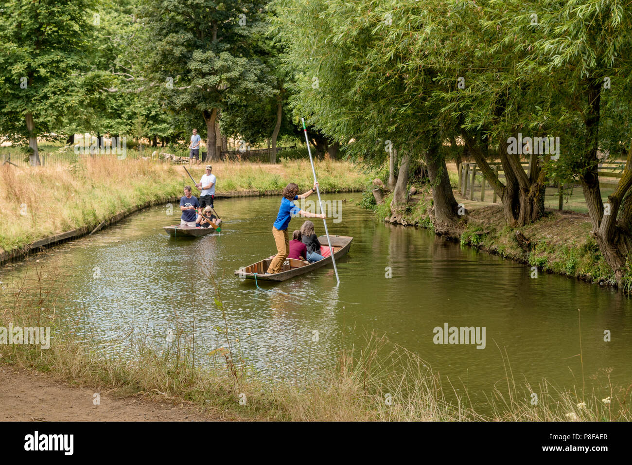Punting sul fiume Cherwell in Oxford in Inghilterra. Foto Stock