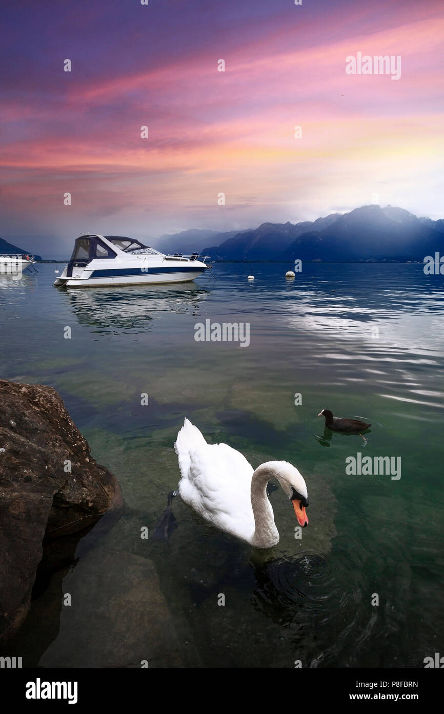 Il lago di Ginevra al tramonto, Montreux, Riviera-Pays-d'Enhaut, Vaud, Svizzera Foto Stock