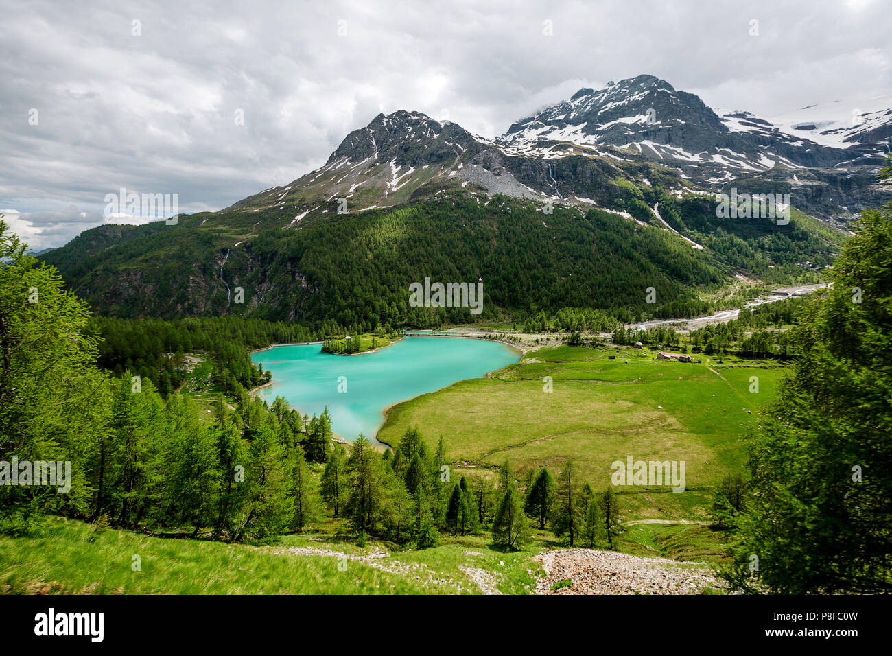 Lago Palu e del Bernina Alpi, Grigioni, Svizzera Foto Stock