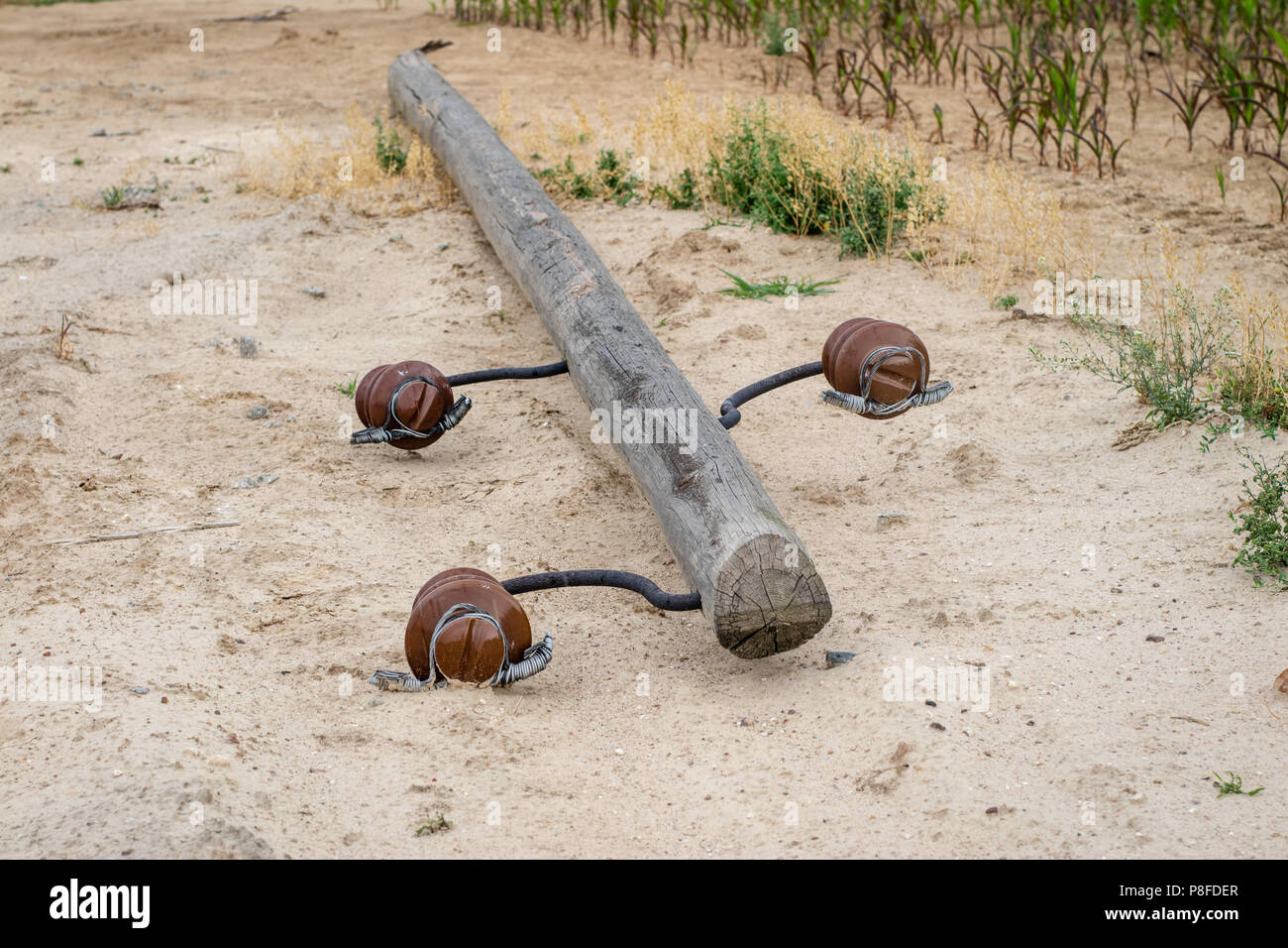 Un vecchio legno polo di alimentazione giacente a terra. Rotture di rete elettrica. Stagione di estate. Foto Stock