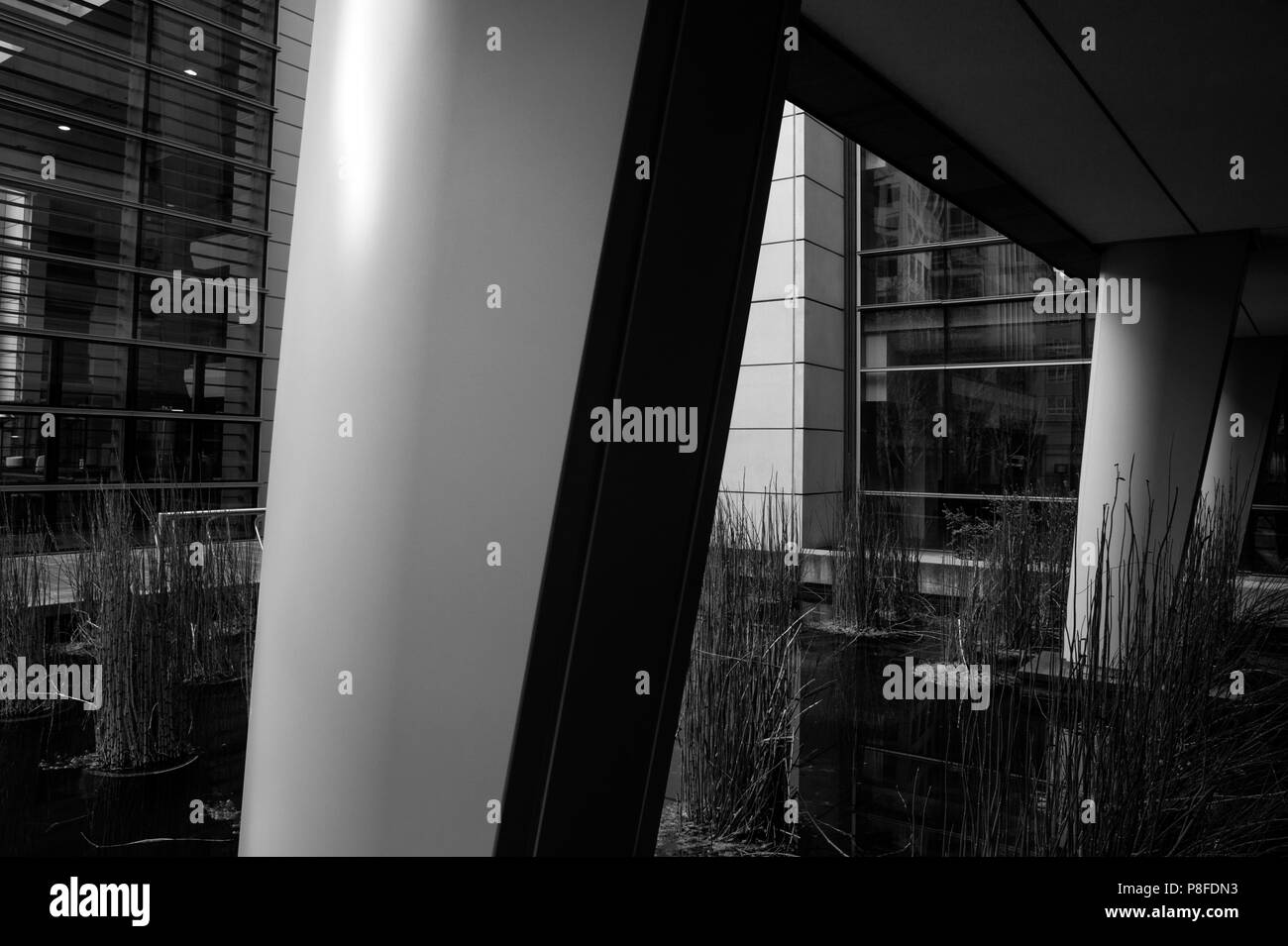 Il centro cittadino di Seattle la mattina presto con abstract di close-up di facciata di edificio con giardino Foto Stock