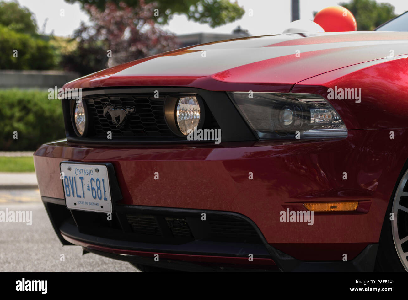 Ford Mustang estremità anteriore con luci antinebbia su Foto Stock