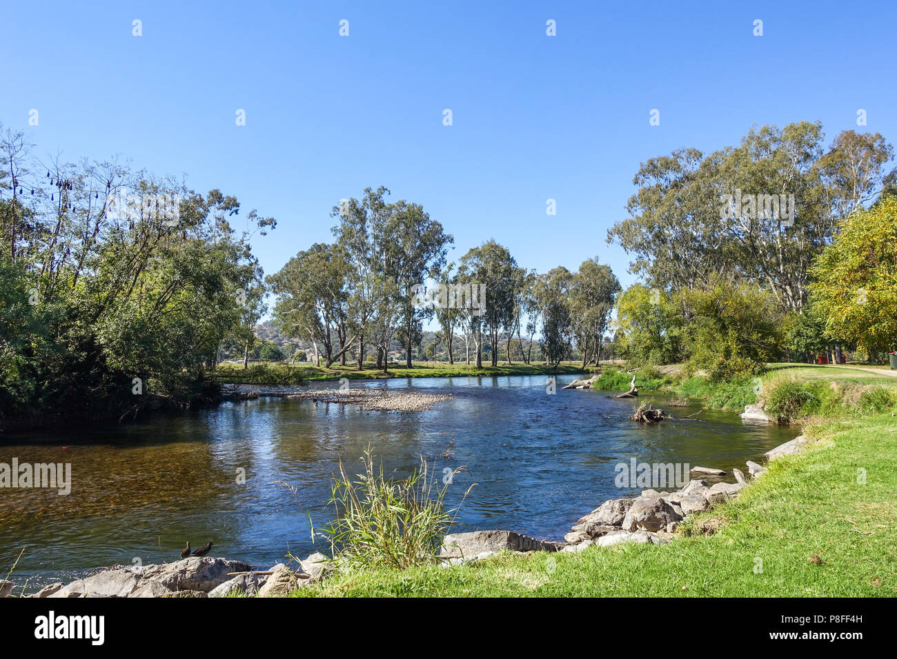 Tumut fiume in Pioneer Park. Bellissima vista lungo la riva del fiume. Tumut, NSW, Australia Foto Stock