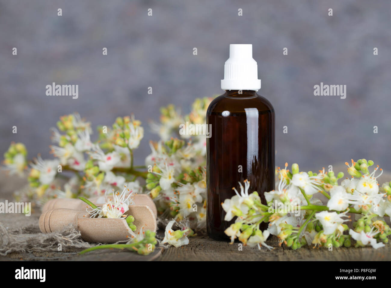 Ippocastano anti-invecchiamento capelli toner. Freschi di fiori di castagno in background. Foto Stock