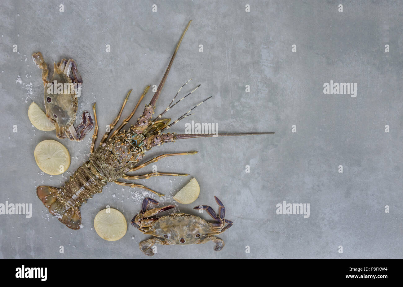 Telaio di alimentare con i crostacei . Aragosta, granchio, limone e sale su sfondo Foto Stock