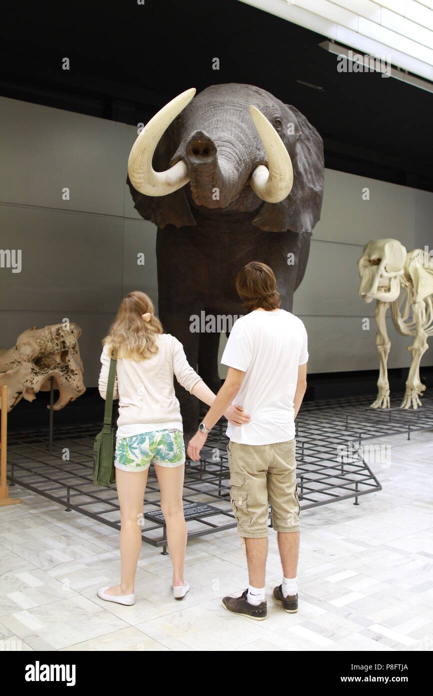 Le persone che visitano il museo Foto Stock