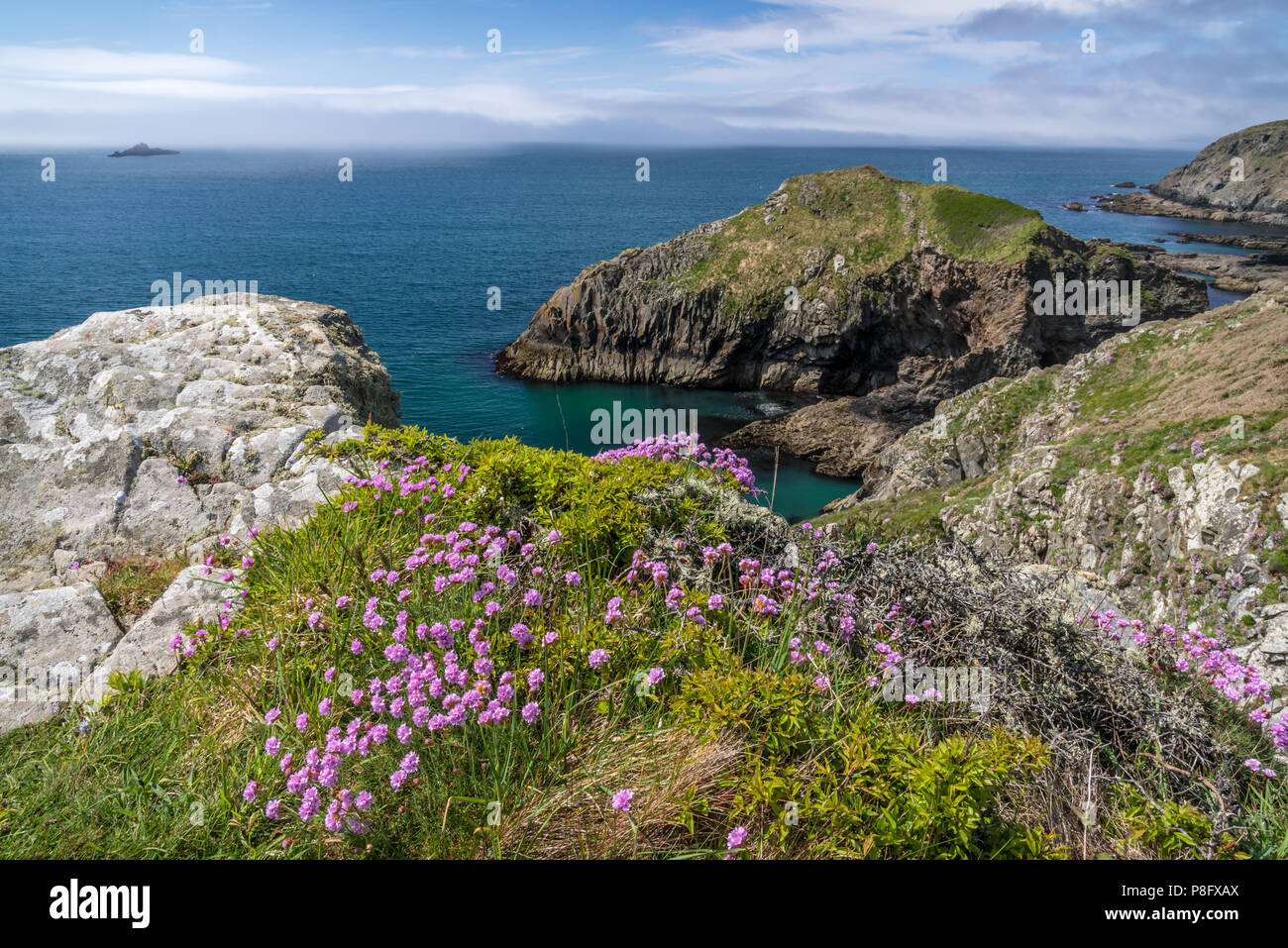 Cliff vicino al villaggio di Solva in Pembrokeshire Foto Stock