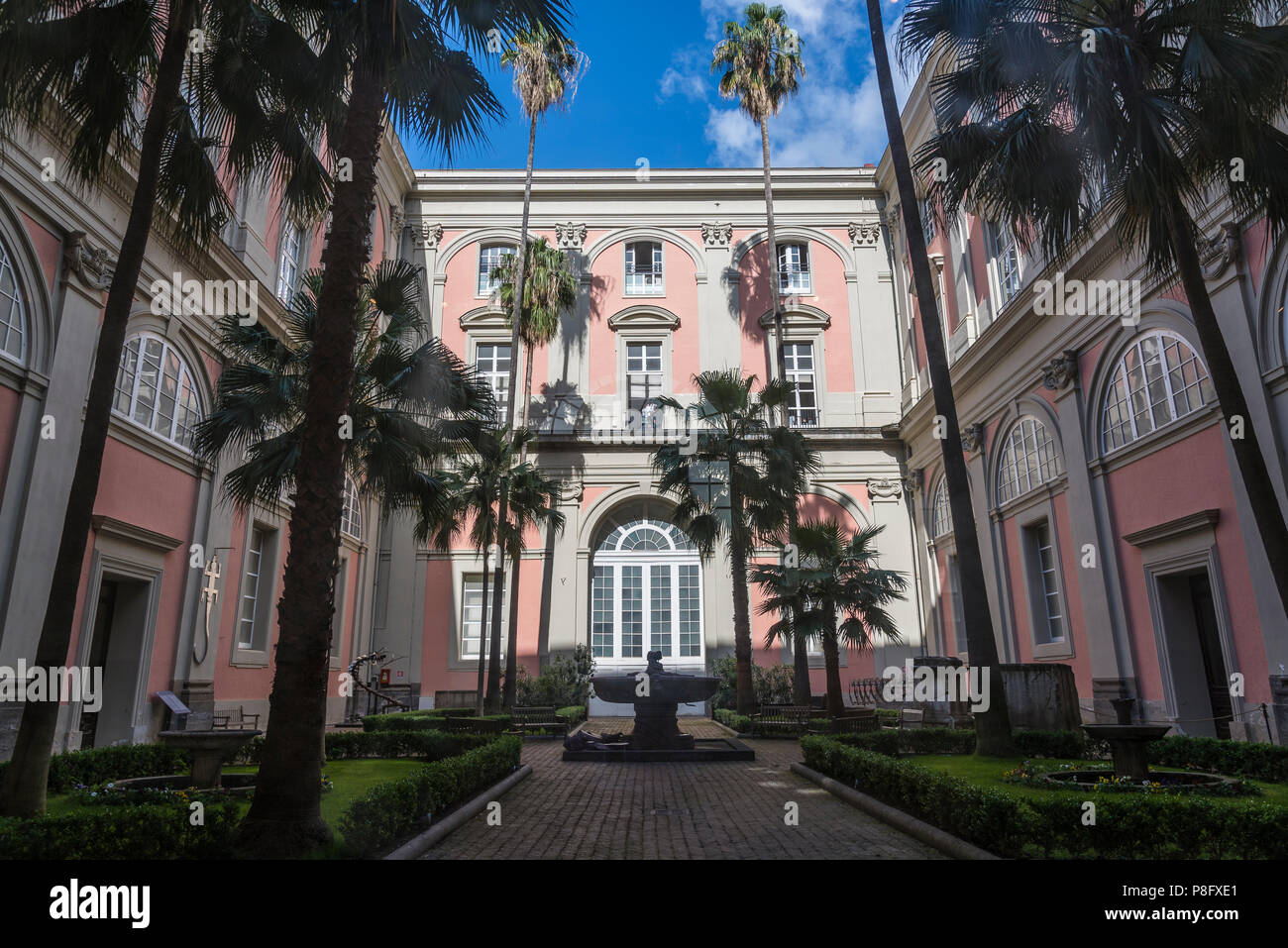 Uno dei cortili interni con palme, Museo Archeologico Nazionale di Napoli, Italia Foto Stock