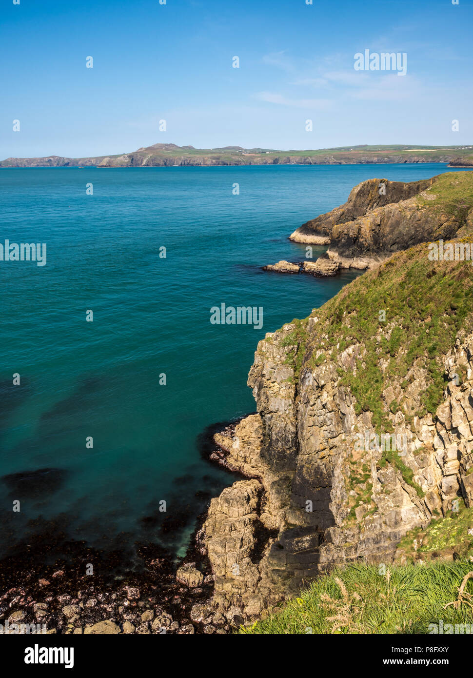 Rupi costiere vicino Aber Castello, Pembrokeshire Foto Stock