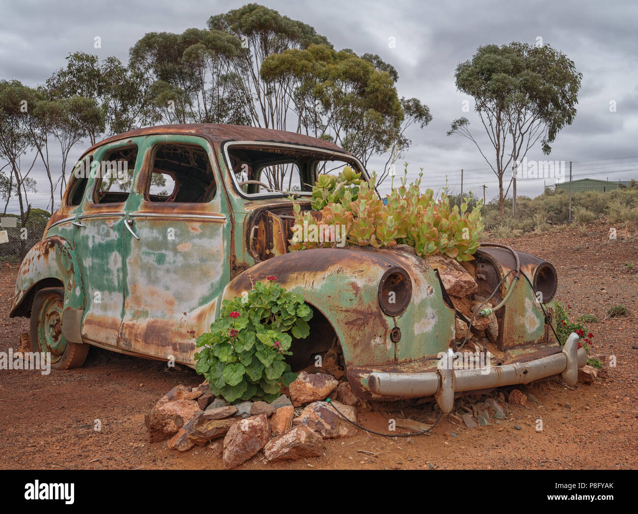 KALGOORLIE, Australia - 28 gennaio 2018: auto rottamata con piante e fiori su un nuvoloso giorno mostra gli Evanescence on gennaio 28, 2018 in Western Australia Foto Stock