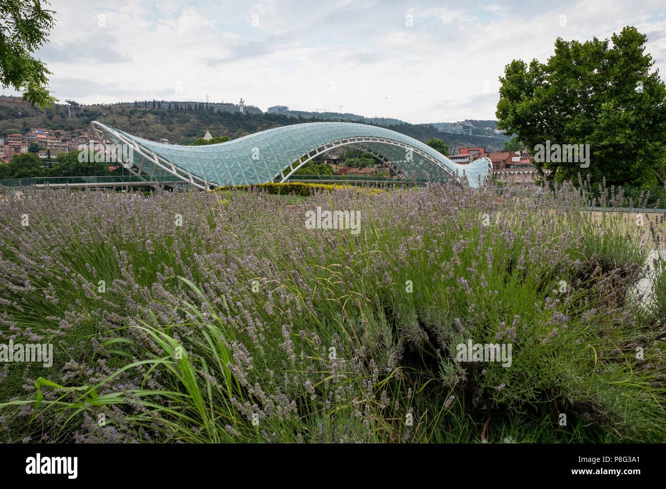 Ponte di pace, Tbilisi, Georgia Foto Stock