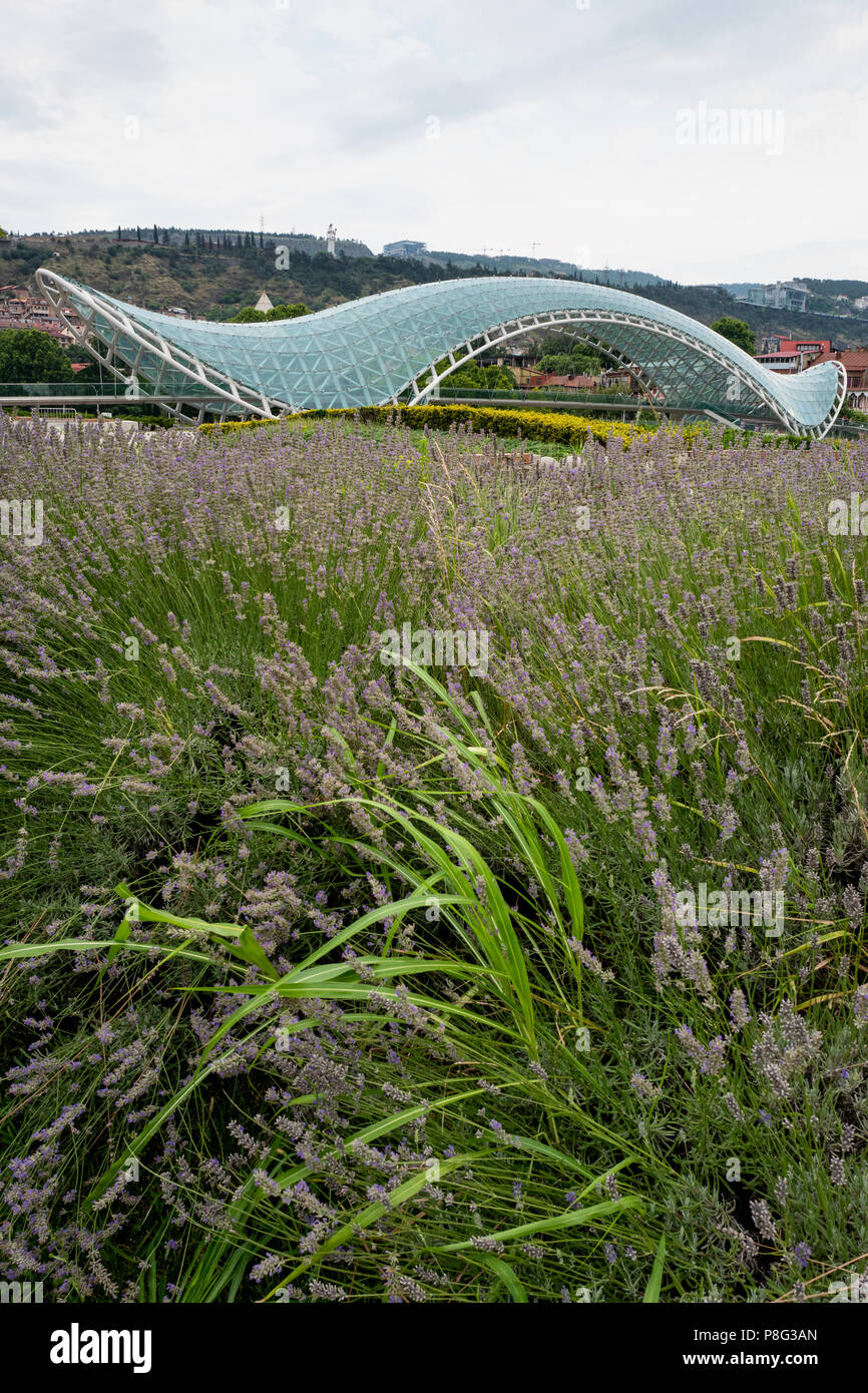 Ponte di pace, Tbilisi, Georgia Foto Stock