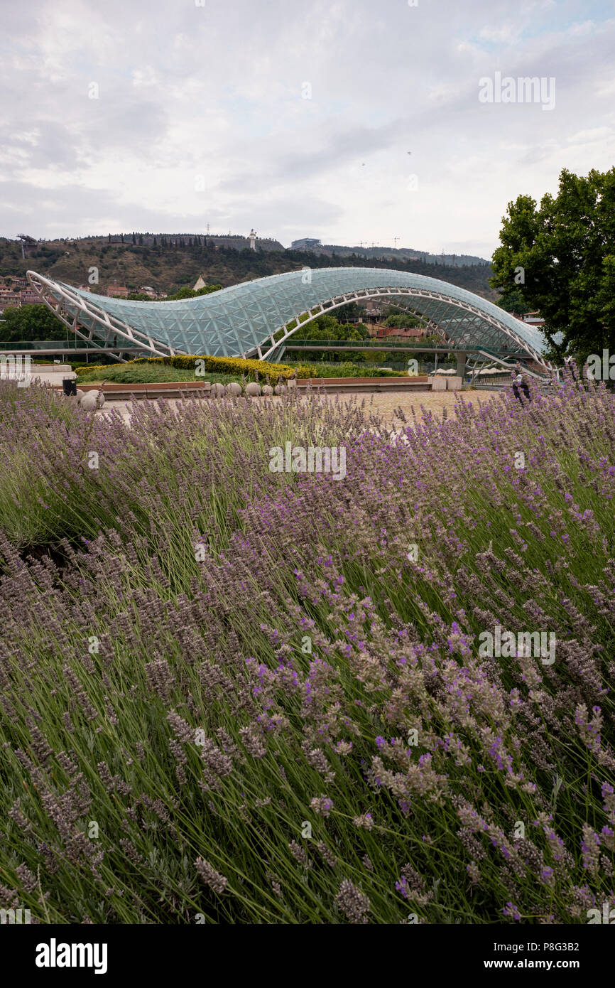 Ponte di pace, Tbilisi, Georgia Foto Stock