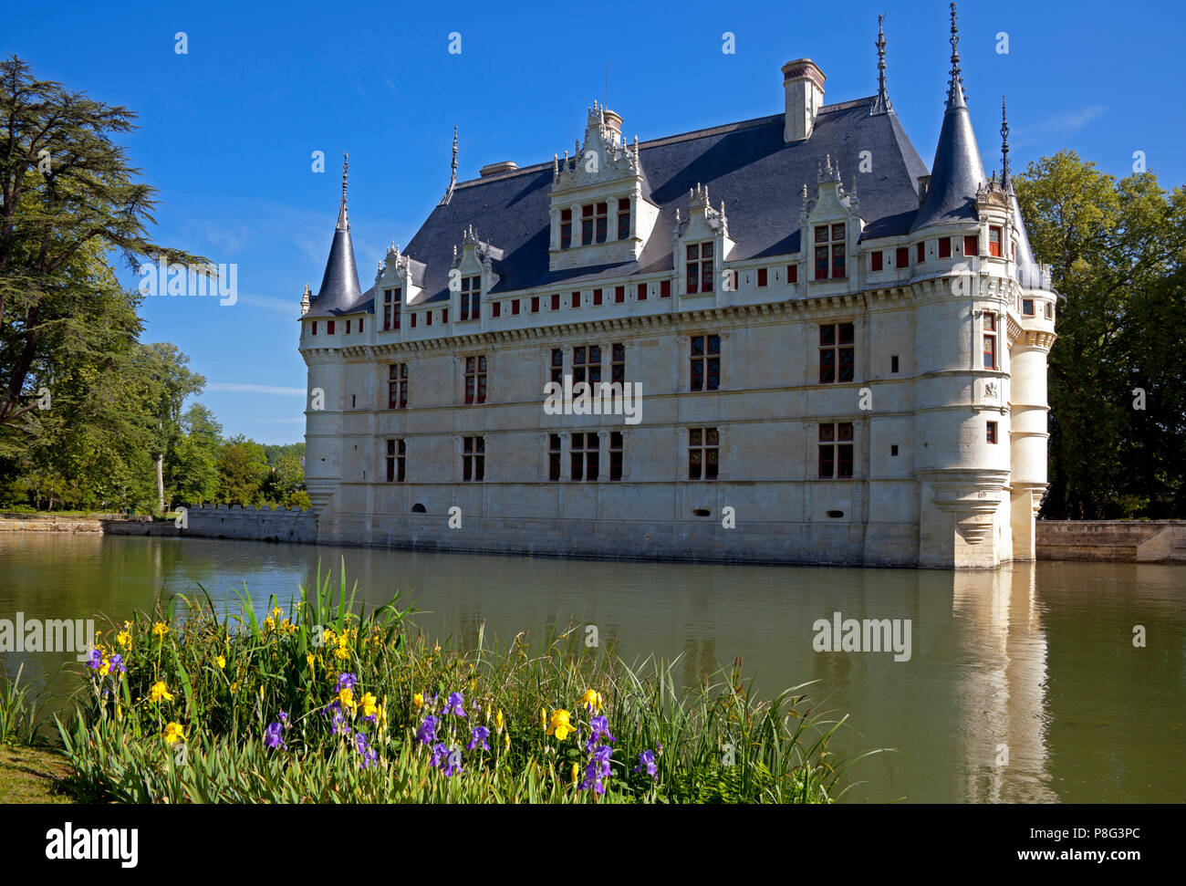 Azay Le Rideau chateau, Indre-et-Loire department, Francia, Europa Foto Stock