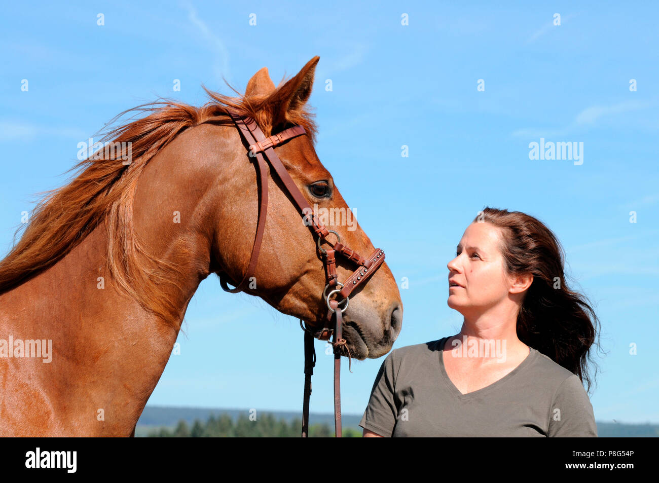 Donna e Quarter Horse, mare, sidepull, bitless briglia, sorrell Foto Stock