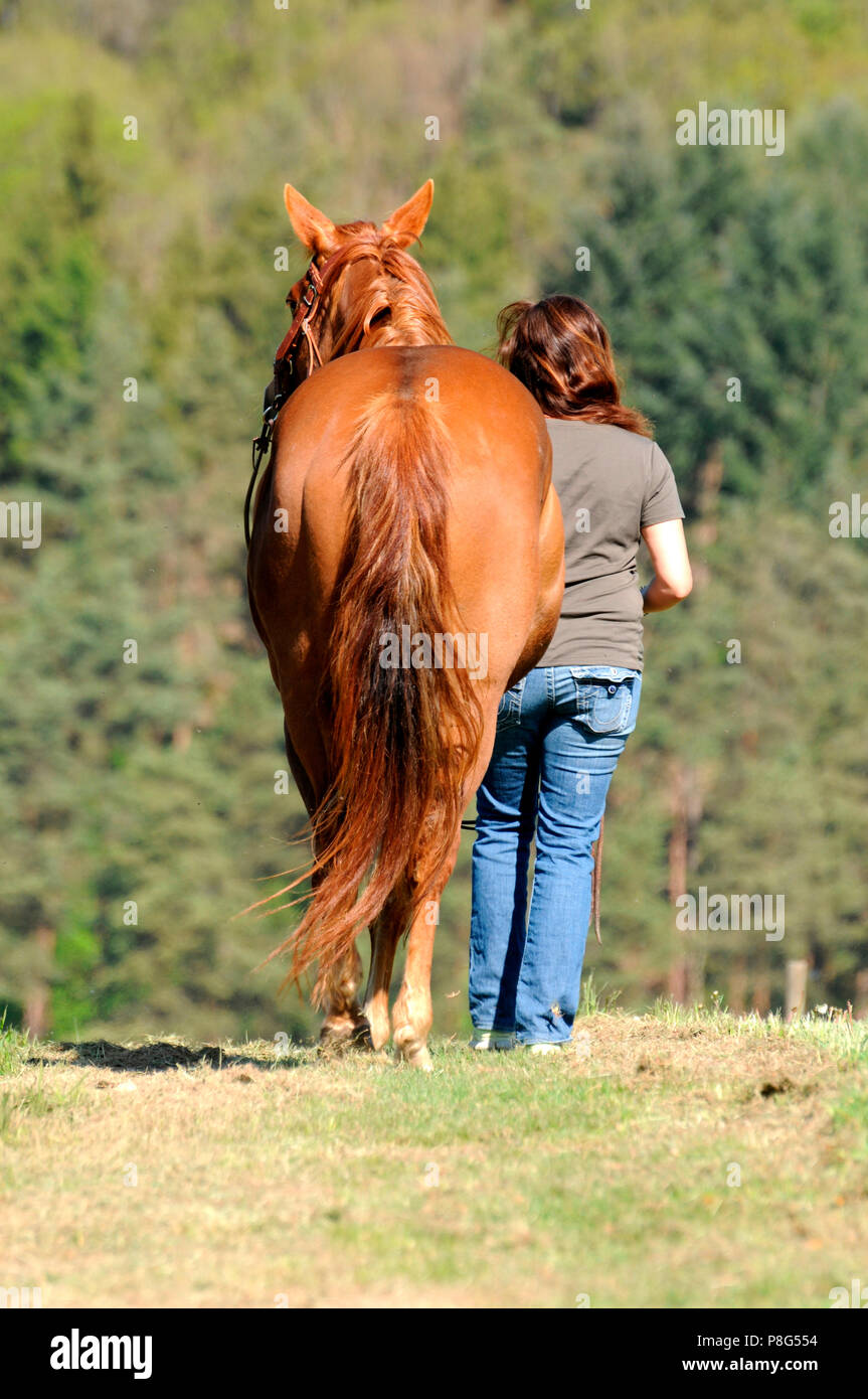 Donna e Quarter Horse, mare, sorrell Foto Stock