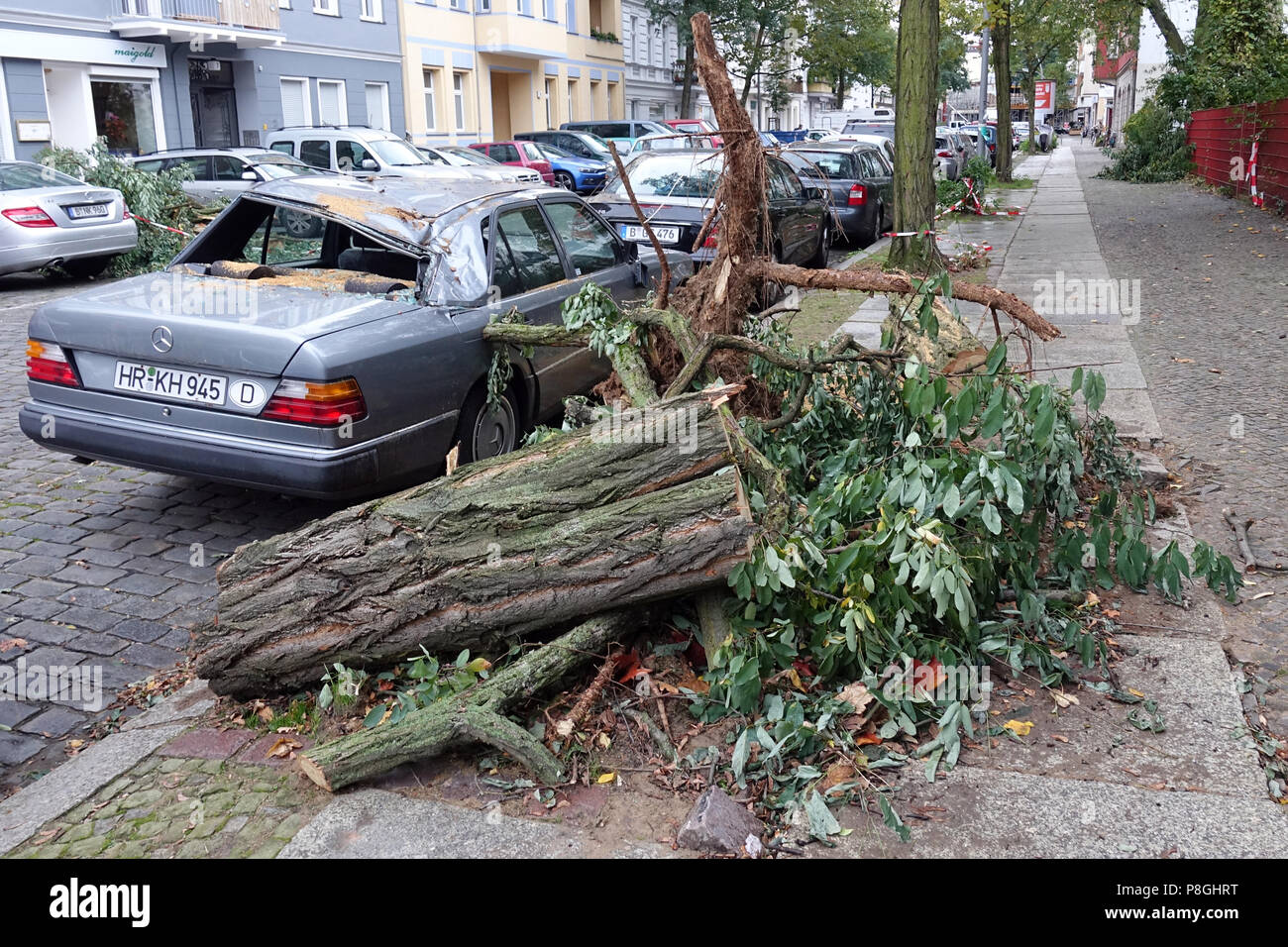 Berlino, Germania, danni provocati dalla tempesta - attorcigliato tree ha danneggiato una vettura Foto Stock