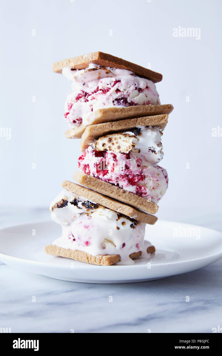 Raspberry Ripple e Marshmallow Icecream Smore panini Foto Stock